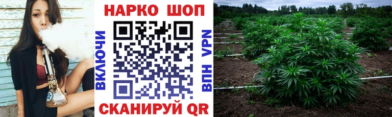 Виды наркотиков купить Зеленодольск ГАШИШ  MEGA ссылки  Меф мяу мяу  Каннабис 