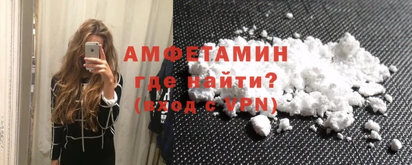 дмт Пересвет