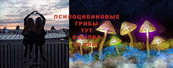 тгк Пестово