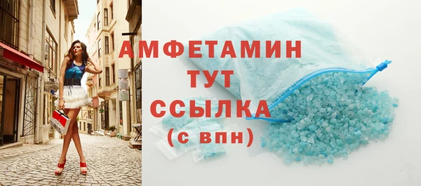 дмт Пересвет