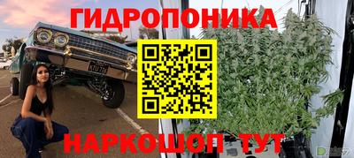 дмт Волжск