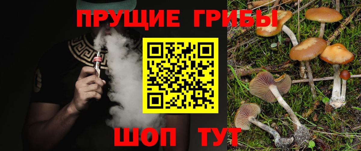 Псилоцибиновые грибы Cubensis  цены наркотик  Псилоцибиновые грибы Cubensis  Зеленодольск 