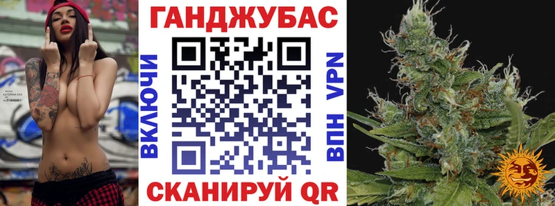 Бошки Шишки планчик Зеленодольск
